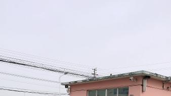 蔡官幼儿园:督导检查促成长，树牢安全防护盾