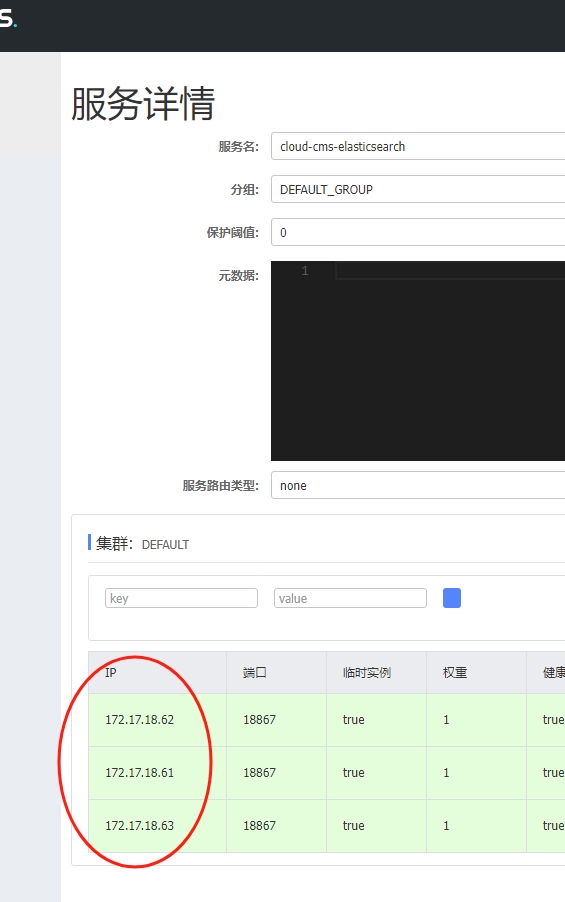 如何查看服务器实例的名称？