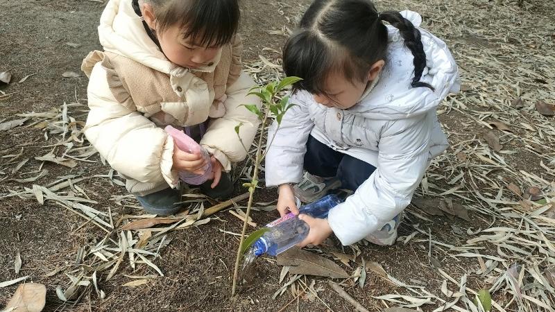 春生万物 绿润童心——东桥幼儿园“植树节”活动
