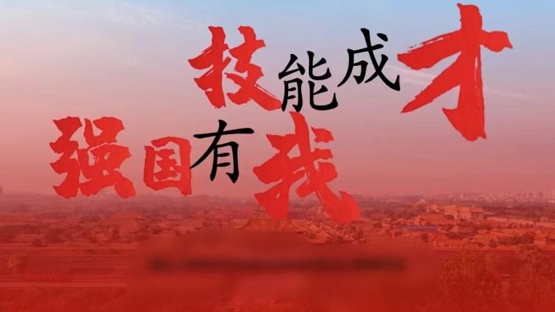 关于开展2024年职业院校“技能成才 强国有我”系列教育活动的通知