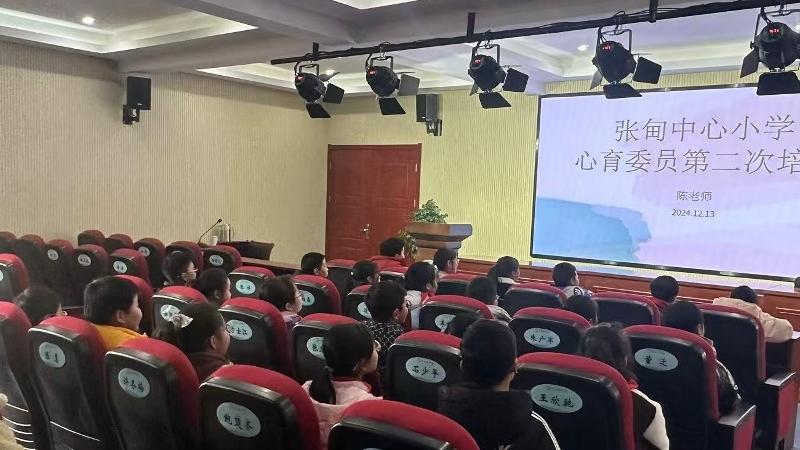 张甸中心小学举行心育委员第二次培训