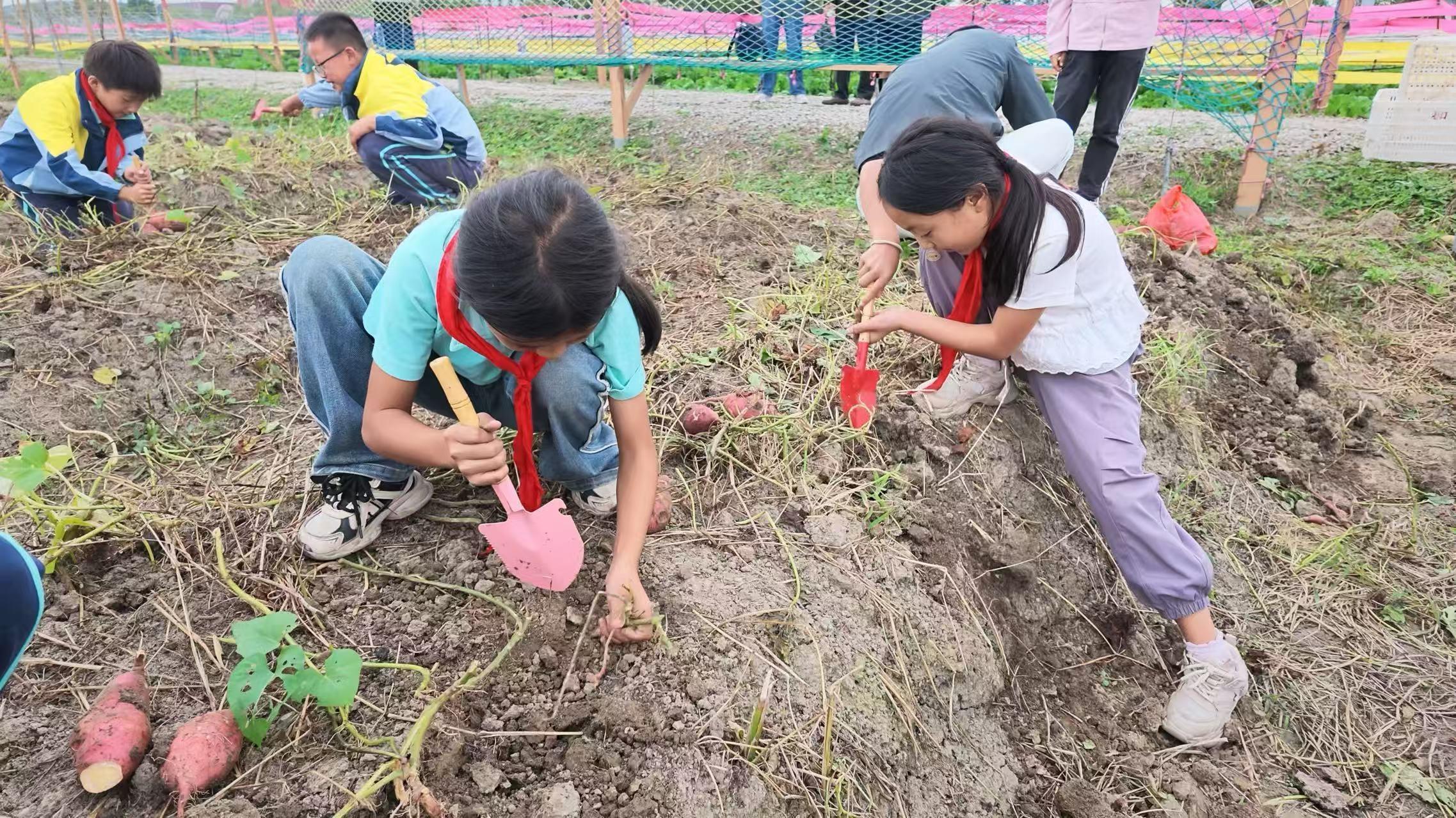 俞垛小学:活力田园践劳动 知行共育促成长